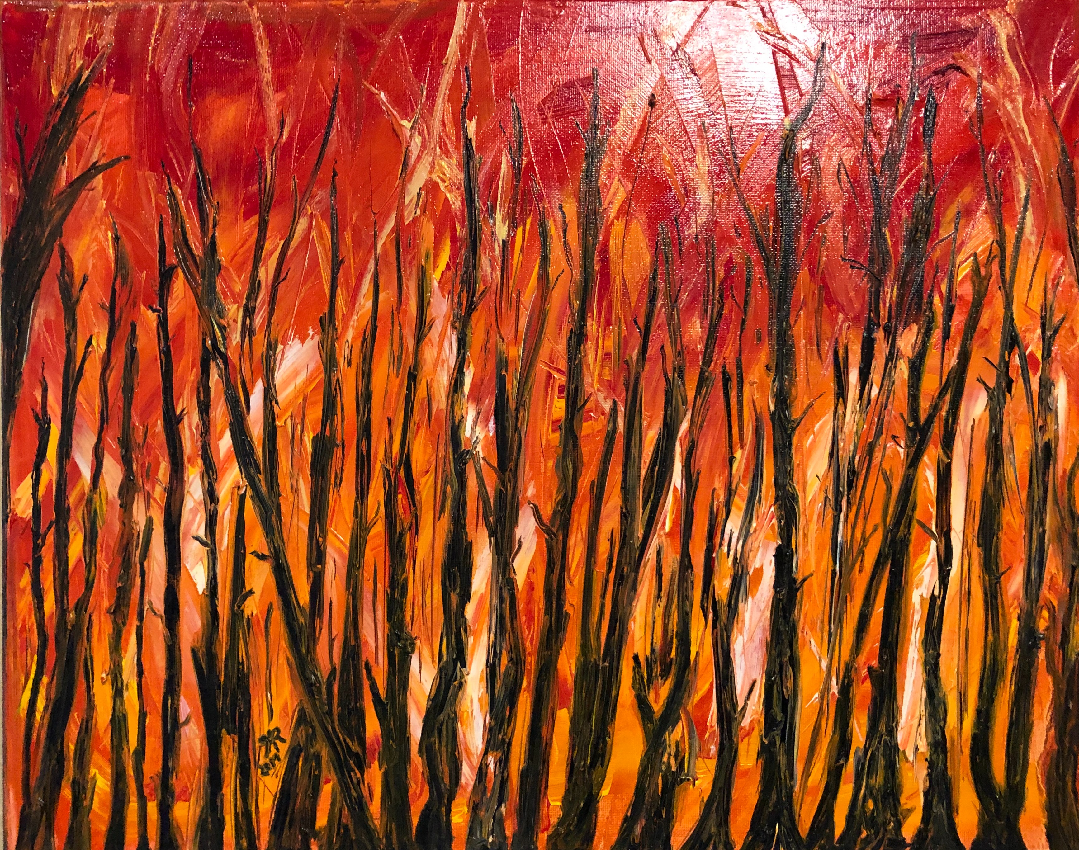 Memories of a Forrest Fire, 2019 by Rachel Rehm