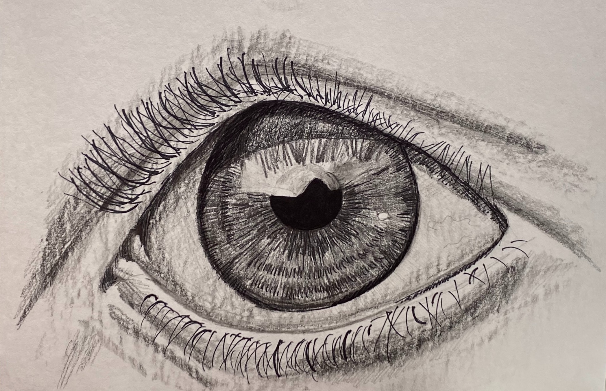 Eye sketch by Rachel Rehm