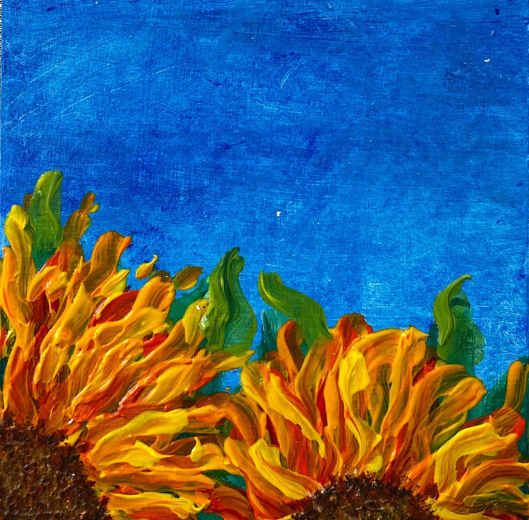 Sunflowers #2 by Rachel Rehm