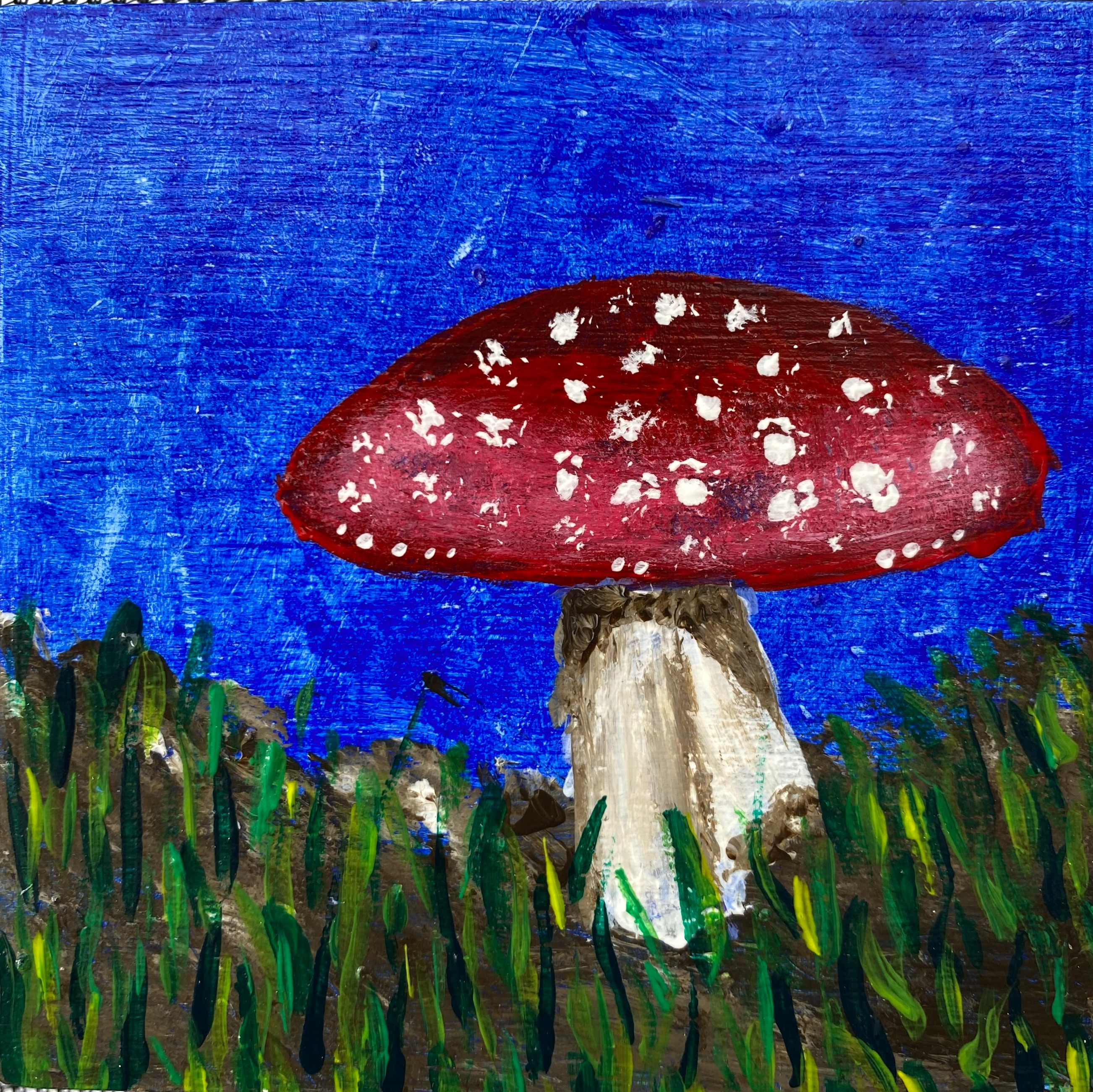 Single Mushroom #6 by Rachel Rehm