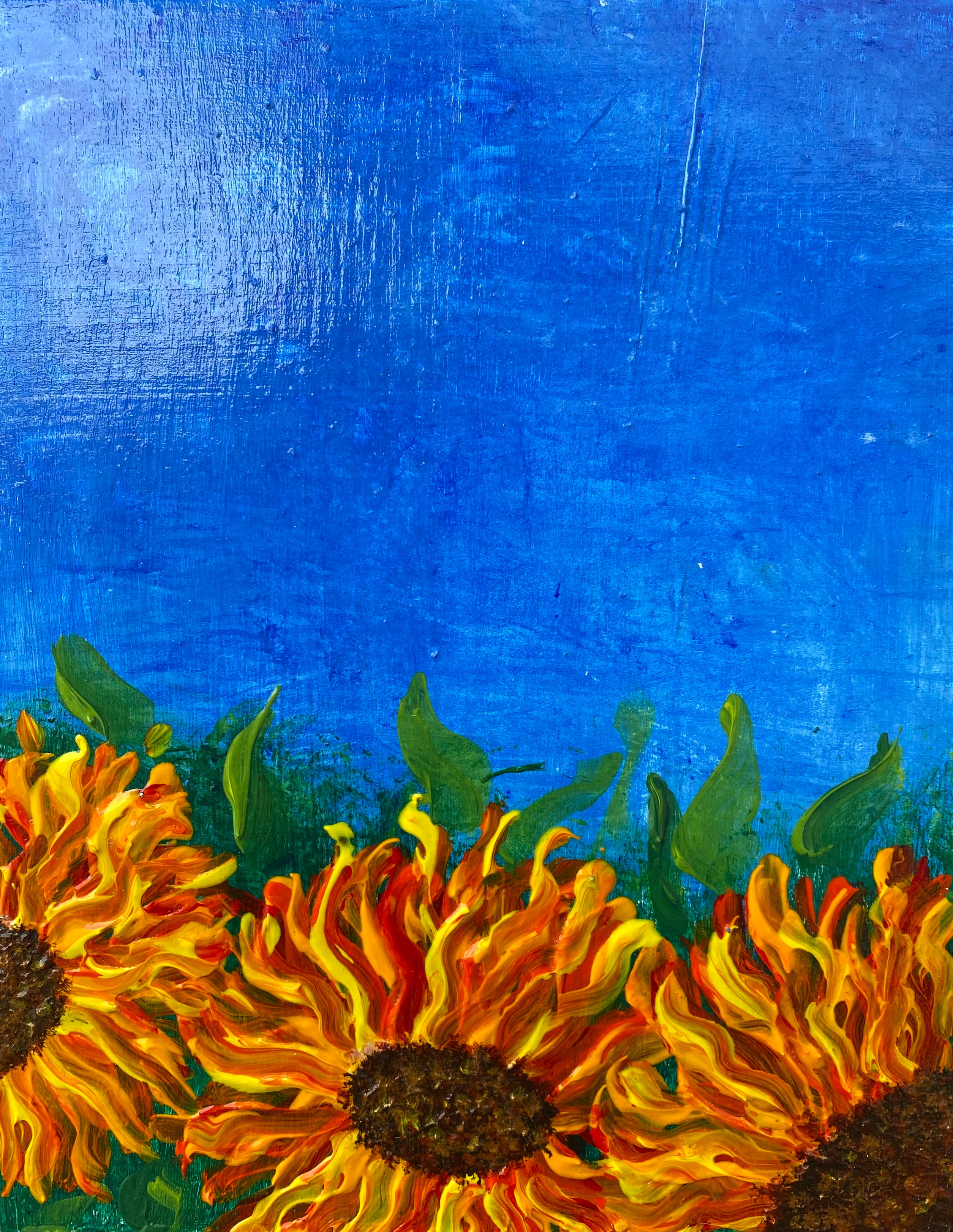 Sunflowers #5 by Rachel Rehm