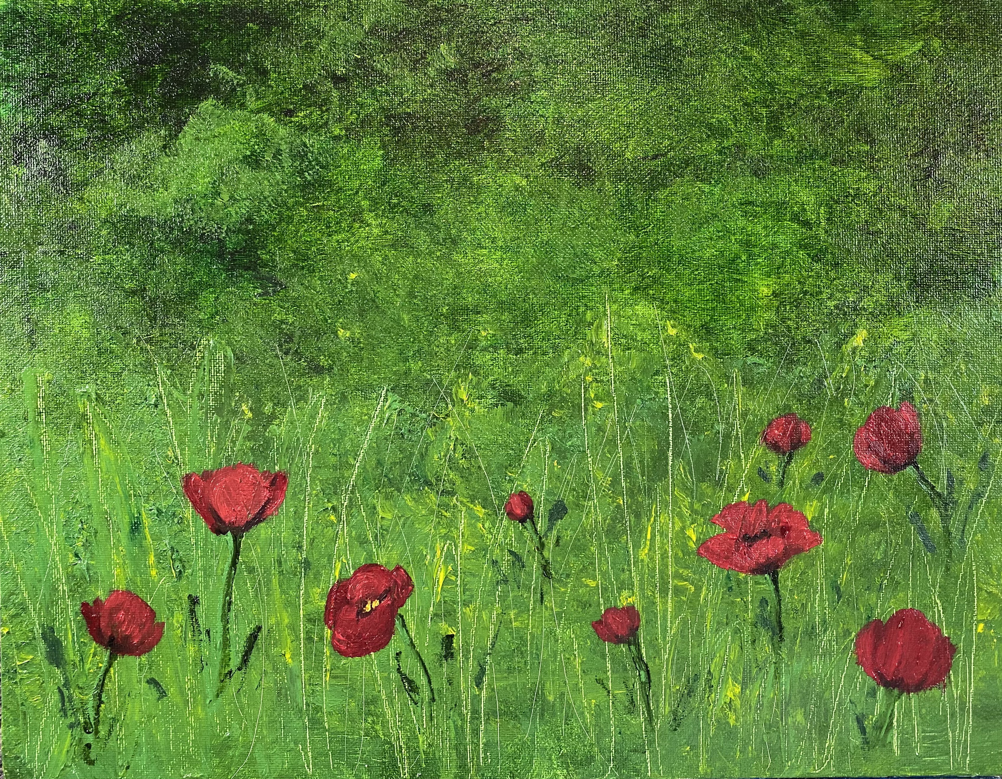 Field of Poppies by Rachel Rehm